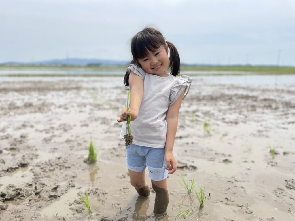 石巻市田植え体験